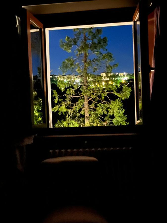 Large Twin Room,1232187545:JPEG